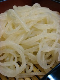 苔 de ワビソビ