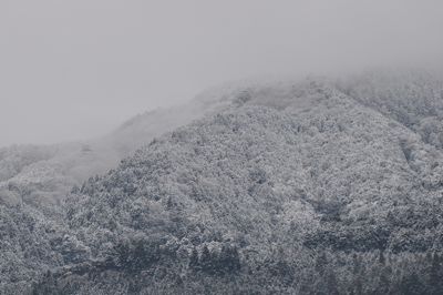 雪