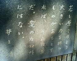 9条世界会議*報告