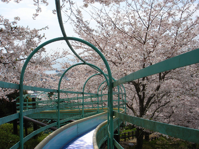 陣笠山公園が旬!
