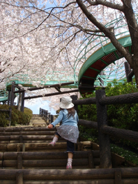 陣笠山公園が旬!
