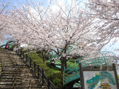 陣笠山公園が旬!