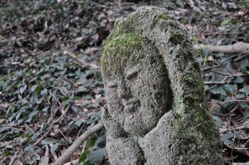 蒲原 御殿山桜まつりとご注意
