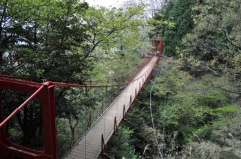 蒲原 御殿山桜まつりとご注意