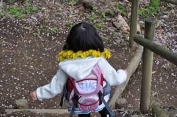 蒲原 御殿山桜まつりとご注意