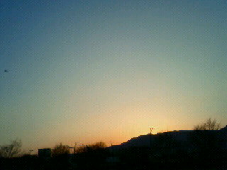 春二番