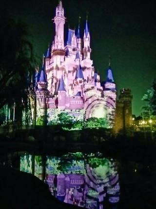 夢と魔法の王国へ・・・ 夢と魔法の王国へ・・・