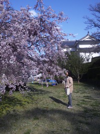静岡祭りの駿府城公園を散歩しました。