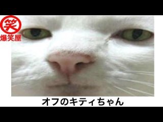 オフが続いています オフが続いています