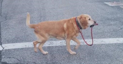 ちょっと息抜き ちょっと息抜き