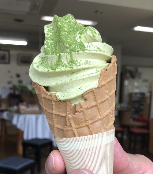 蓮と茶畑と、、、( *´艸`) 蓮と茶畑と、、、( *´艸`)