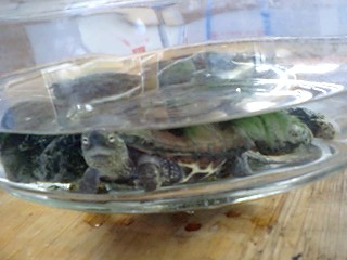 季節の変わり目・・・春に向けて芽を出そう!