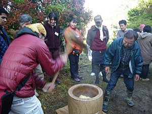 「お茶摘み交流会」に参加してきました