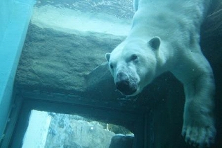 はぴまま秋の撮影会in日本平動物園