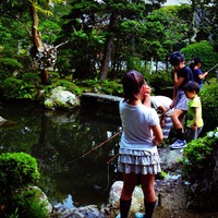 初夏の催事2014