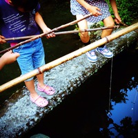 初夏の催事2014