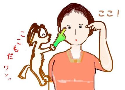 瞳子髎(どうしりょう)というツボ