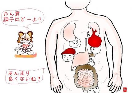 募穴(ぼけつ)