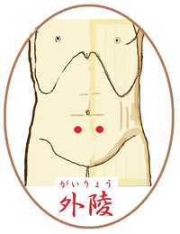 外陵(がいりょう)というツボ