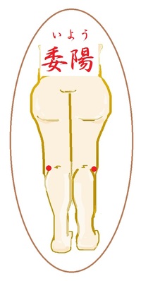 委陽(いよう)というツボ