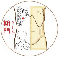 期門(きもん)というツボ