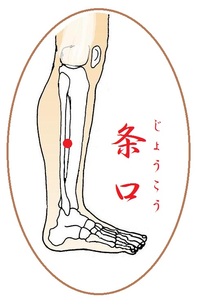 条口(じょうこう)というツボ