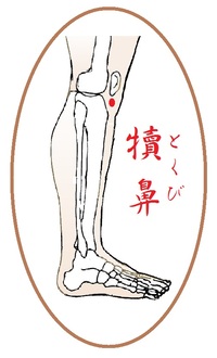 犢鼻(とくび)というツボ