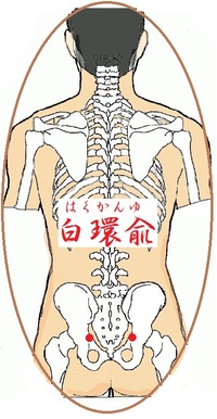 白環兪(はくかんゆ)というツボ