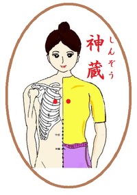 神蔵(しんぞう)というツボ