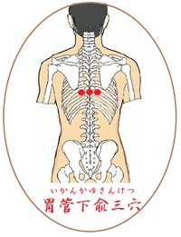 胃管下兪三穴(いかんかゆさんけつ)というツボ