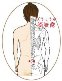 膀胱兪(ぼうこうゆ)というツボ