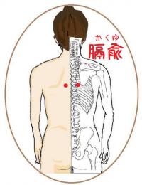 膈兪(かくゆ)というツボ