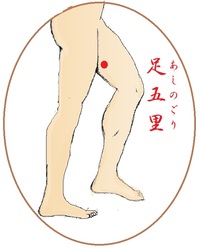 足五里(あしのごり)というツボ