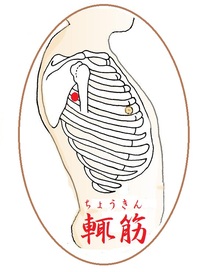 輒筋(ちょうきん)というツボ
