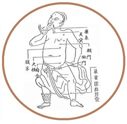 陰維脈(いんいみゃく)