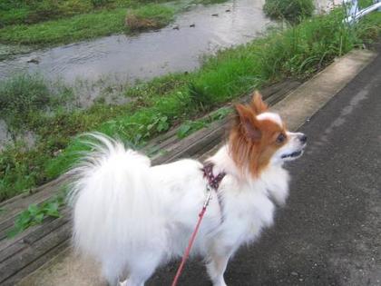 鍼灸師になったきっかけ