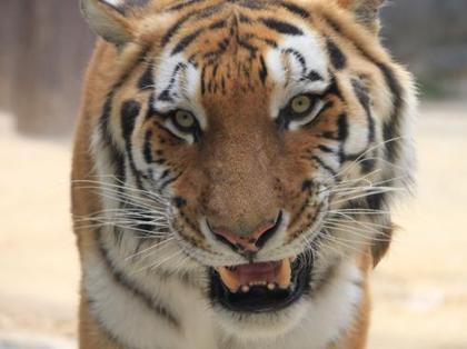 動物園って何年ぶりだろう!