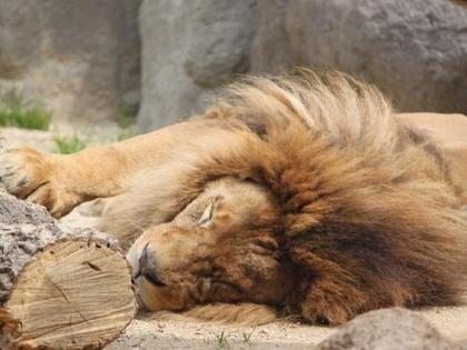 動物園って何年ぶりだろう!