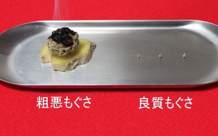 粗悪もぐさと良質もぐさ