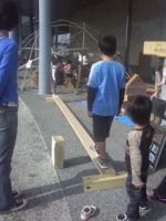 森とまシミフェス!