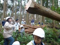森とま伐採見学会+森林運動会