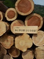森とま材、出材!