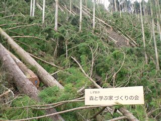 森とま葉枯らし現場へ(後編)
