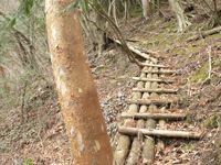 森とま葉枯らし現場へ(前編)