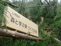森とま葉枯らし現場へ(後編)