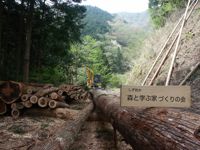 森とま材の造材風景