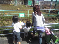日本平動物園♪