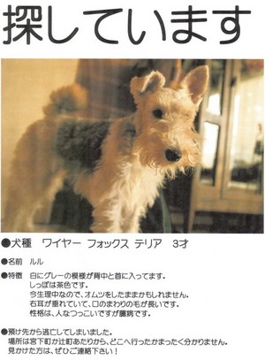 探してます!!