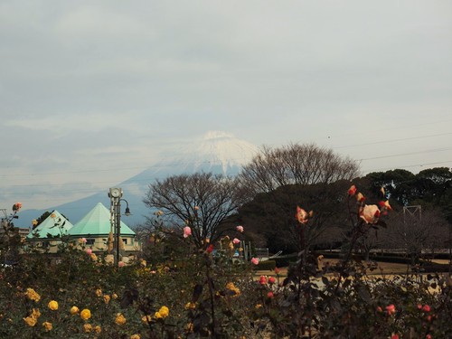 今朝の富士山～２月６日～