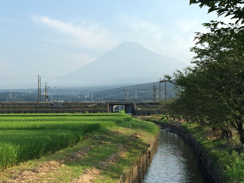 今朝の富士山～７月２４日～